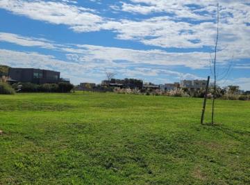 Terreno · 558m² · Lote Interno en Venta en Santa Lucia, Pilar del Este