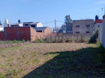 Terreno · 312m² · Venta de Terreno Calle 50 E/ 170 y 171 Lisandro Olmos - La Plata