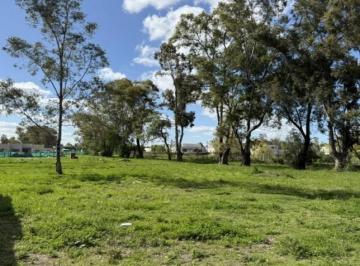 Terreno · 545m² · Lote Interno en Venta en Santa Sofía, Pilar del Este, Pilar