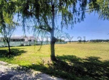 Terreno · 2176m² · Brandsen Ruta 2 Campo de Roca Ll - Lote N° en Venta