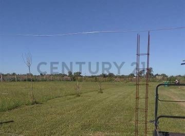 Terreno · 24m² · 630 E/ 2 y 3 - en Venta | Lote 1/4 Hectárea – Villa Garibaldi | La Plata
