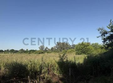 Terreno · 767m² · Lote en Arturo Segui Calle 137 E/ 419 y 420 en Venta