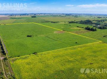Campo · 860000ha · 86 Ha Agrícolas en Soliscampo