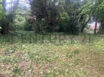 Terreno · 1958m² · Villa Elisa - Terreno en Esquina - 407 y 24