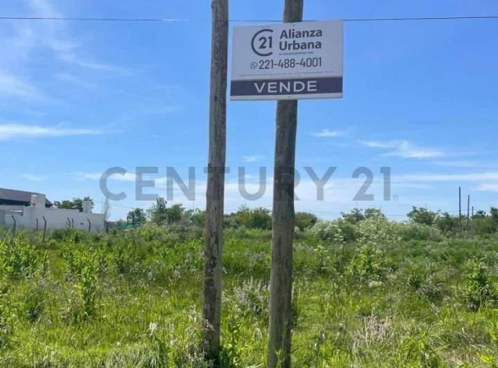 Terreno · 36m²