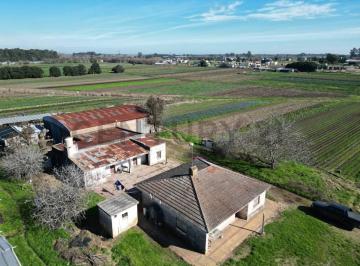 Campo · 500m² · 2 Dormitorios · 143 & 621 Arana Venta de Parcela