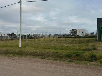 Terreno · 299m² · Lote en Venta 13 Entre 661 y 662