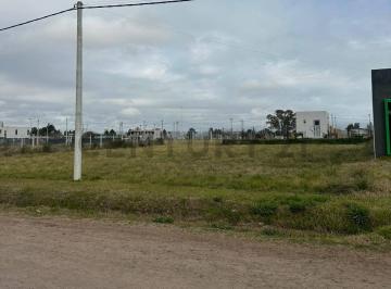 Terreno · 299m² · Oportunidad Lote 300 m² - Calle 13 Bis E/661 y 662