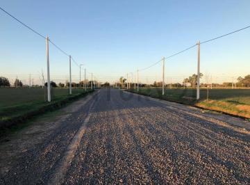 Terreno · 361m² · Lote en Gorina 510 y 167 | 361,68 m²
