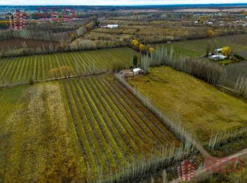 Campo · 70000ha · Vende Chacra con Produccion Activa en Cinco Saltos