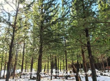 Terreno · 1177m² · Terreno en San Carlos de Bariloche