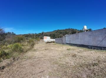 Terreno , Los Alisos · Terreno Los Alisos 2 Cuadras Ruta 8