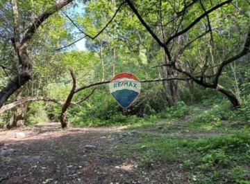 Terreno · 9667m² · Venta Terreno 9667,20 m² Los Perales
