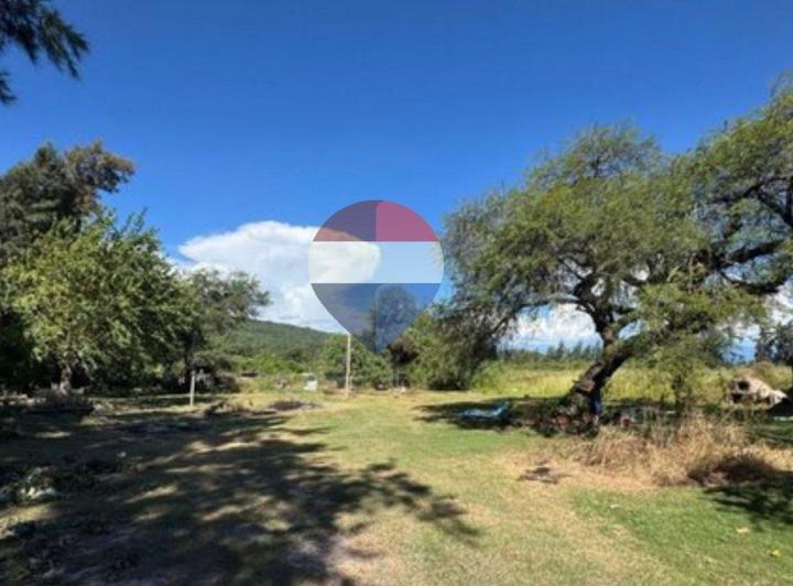 Campo · 60ha
