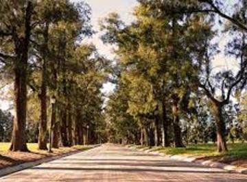Terreno · 1000m² · Venta Lote 1000 m Azahares del Paraná Permuta