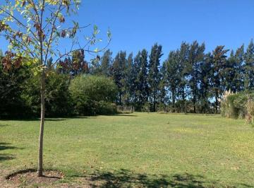 Terreno · 853m² · Venta Lote en B° Santa Teresa Tigre Villanueva