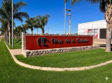 Terreno · 350m² · Vende Lote en Altos de La Colonia