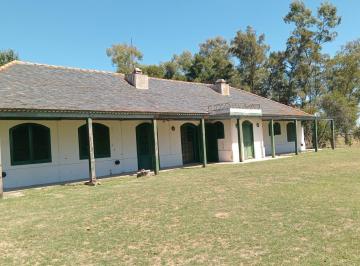 Campo · 18000000ha · Venta Campo 1800 Ha Mixtas. Las Flores. Pcia de Bs As.