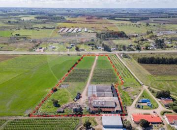 Terreno · 2770m² · Venta Nave Logística Sobre Ruta 5 Canelones
