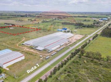 Campo · 200ha · Venta Chacra de 5.84 Ha, Bodega Boutique, San José