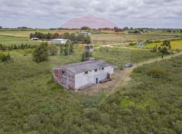 Campo · 200ha · Venta Chacra de 5.84 Ha, Bodega Boutique, San José