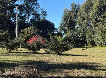 Campo · 7ha · Venta de Chacra 7 Has Ruta 6 Km 25300