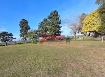 Bodega-Galpón · 100000m² · Oportunidad de Inversion Productiva.
