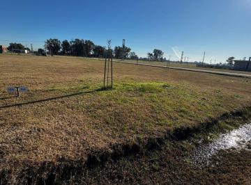 Terreno · 650m² · Lote en Venta Fincas Joven San Vicente 650 m²