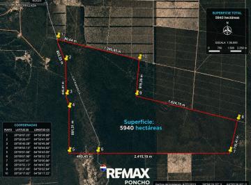 Campo · 5940ha · Se Vendecampo Oportunidad 5.940ha La Paz Catamarca