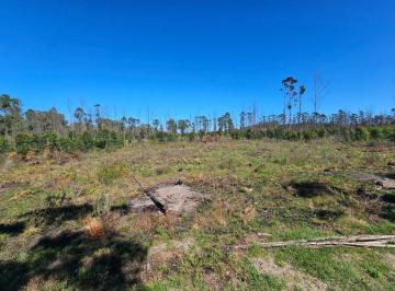 Terreno · 2900m² · Terreno en Venta Cerca del Rio con Financiacion