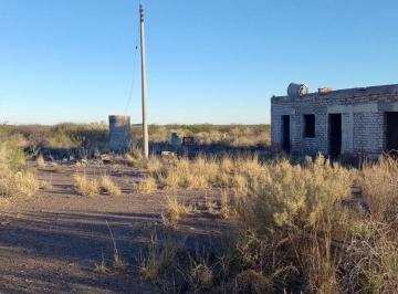 Campo · 12ha · Venta Finca Santa Rosa Mendoza