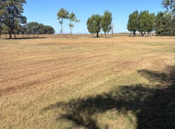 Terreno , Brandsen · Lote en Barrio Privado Haras del Sur I