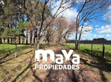 Terreno · 37m² · Campo en Venta – Ubicación Estratégica y Gran Potencial