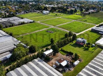 Terreno · 349m² · 522 Entre 206 y 208 - Lotes en Venta Barrio Residencial Nuevo Horizonte
