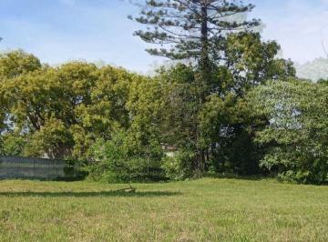 Terreno · 263m² · Lote en Venta | Calle 37 E/ 126 y 127 | Berisso