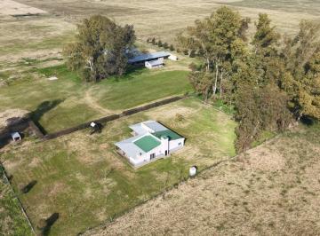 Campo · 930000ha · 4 Ambientes · Haras en Luján