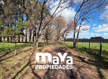 Campo · 37m² · 4 Ambientes · Campo en Venta – Ubicación Estratégica y Gran Potencial