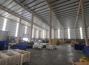 Depósito · 1500m² · Depósito | 1500 m² | Alquiler | Red Incendio | Polo Industrial Ezeiza