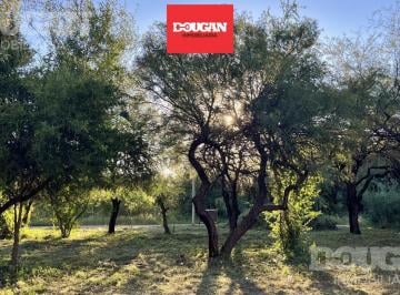 Terreno · 470m² · Terreno a La Venta en Merlo San Luis