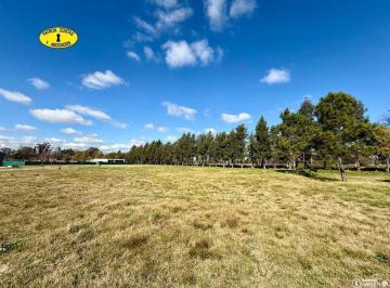 Terreno · 2000m² · Terreno Residencial en Venta en La Asuncion
