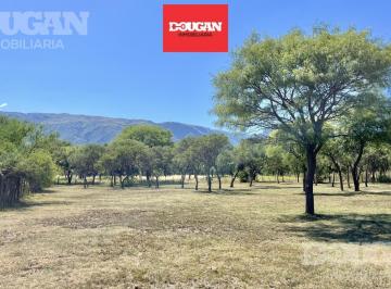 Terreno · 1400m² · Venta - Lote Parquizado - Los Molles