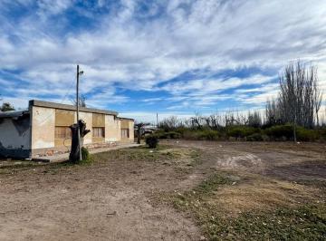 Campo · 10ha · Finca en Cañada Seca