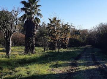 Terreno , La Picada · 9 Ha Parquizadas con 350 m de Arroyo