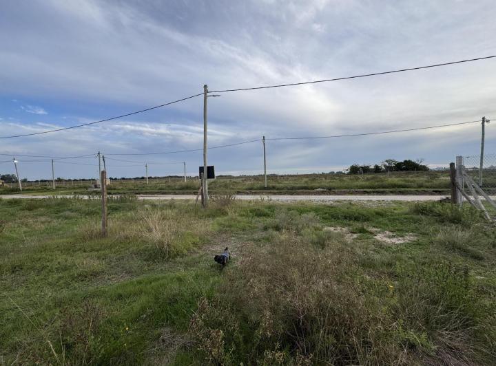 Terrenos en venta — RealXpertAI