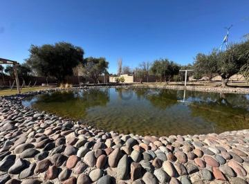Quinta vacacional · 250m² · Quinta Para Eventos en Venta