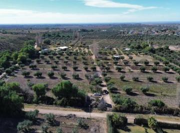 Campo · 2m² · Venta de Finca en Lunlunta