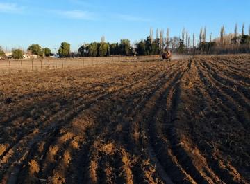 Terreno · 10550m² · Terreno en Venta Ruta 188 y Echeverria Gral Alvear