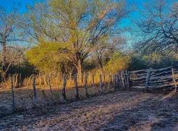 Campo · 377ha · Venta de Campo en Arbol Solo - San Luis