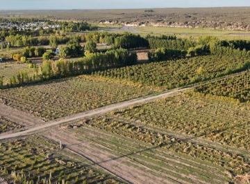 Terreno · 3000m² · Terreno en Venta Ciudad Tunuyan