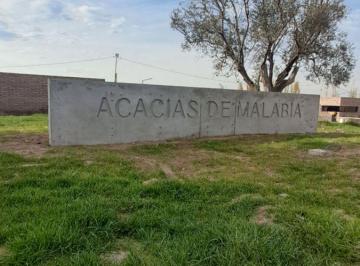 Terreno , Carrodilla · Lotes en Venta Acacias de Malabia - Posesión Inmediata Para Construir - Carrodilla - Luján de Cuyo